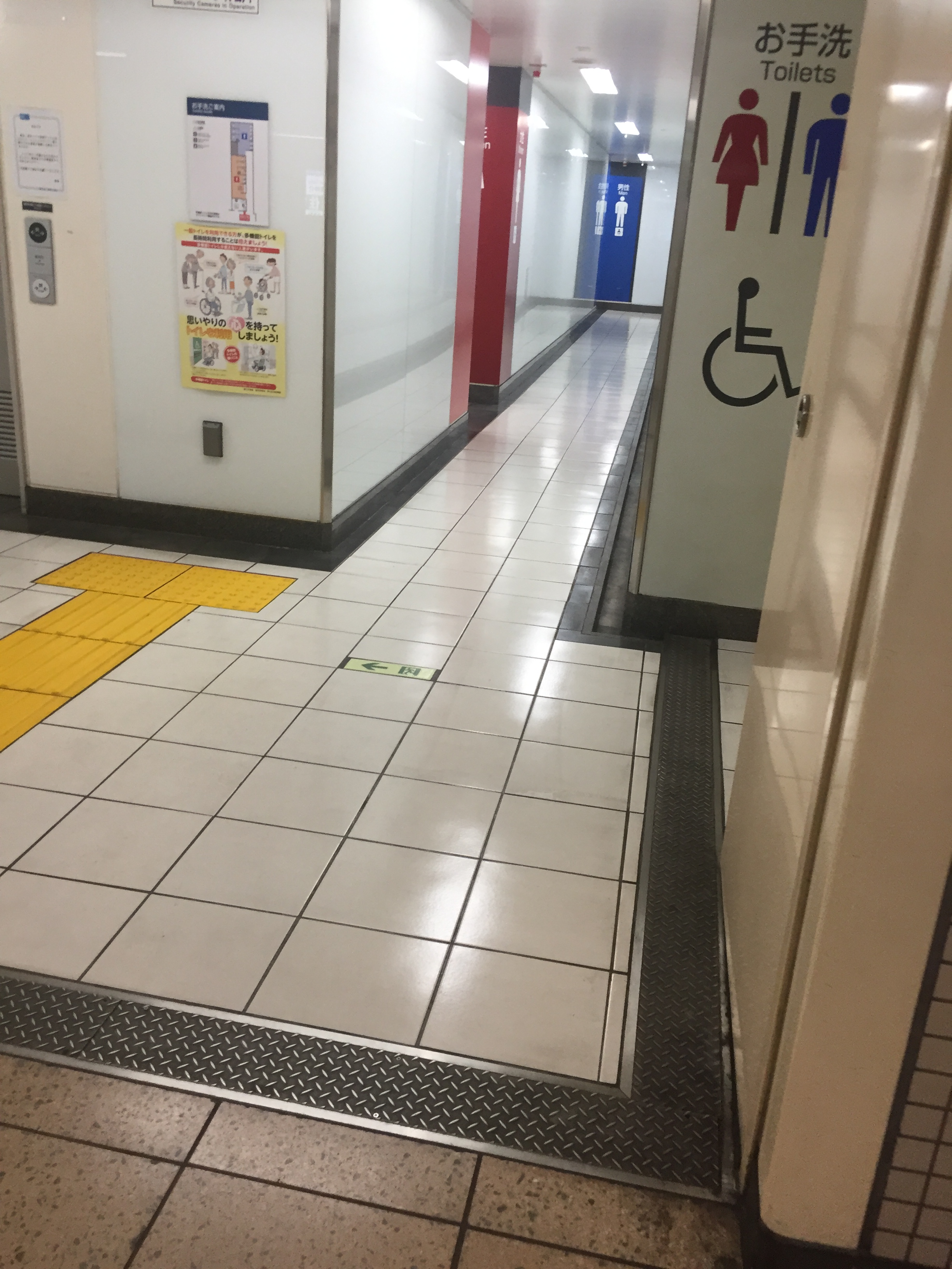 決定版 都内の駅トイレ制覇してみた 丸ノ内編 腹痛持ち待望 改札外対応 ぶらりトイレ途中下車の旅