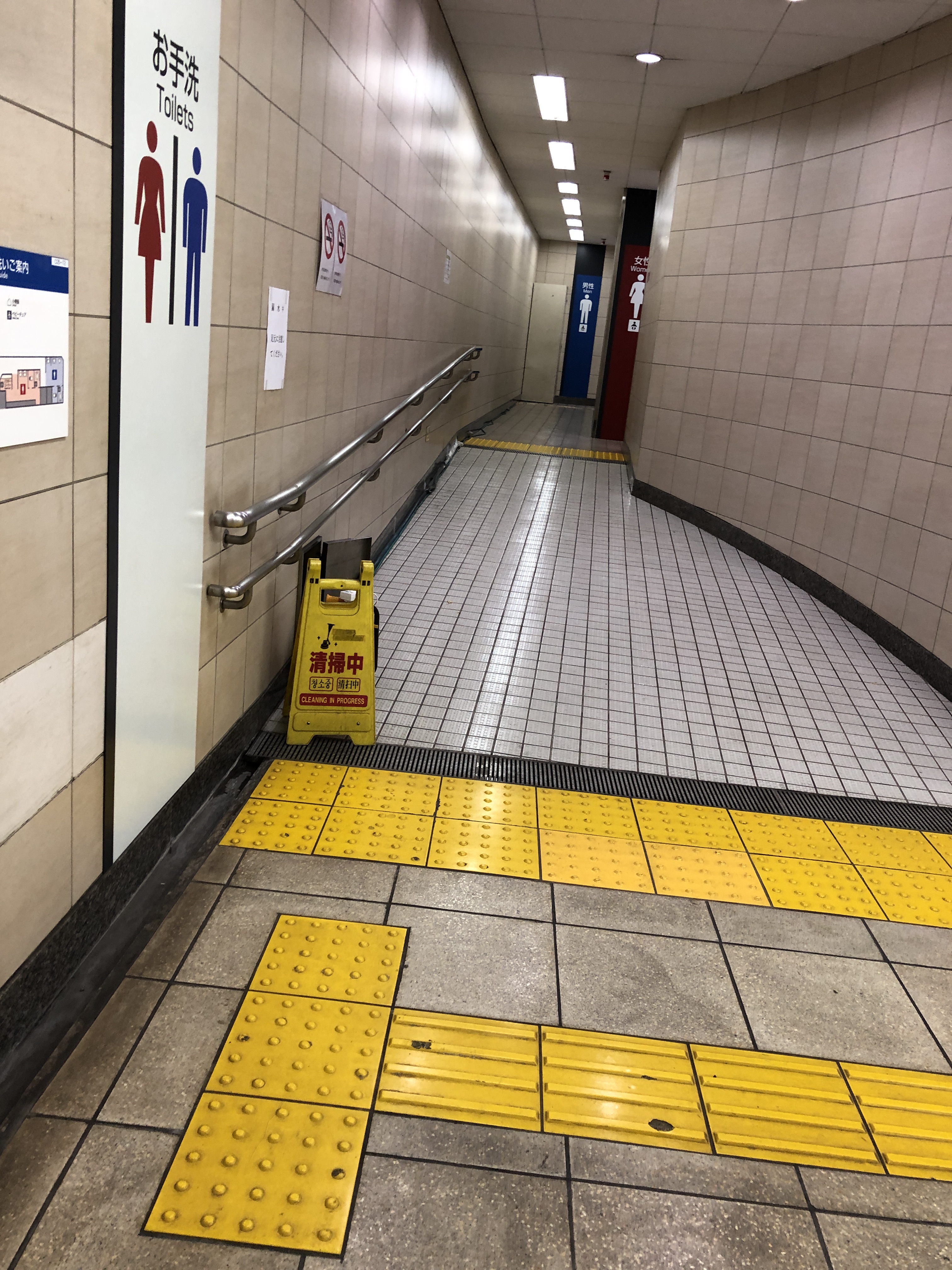 決定版 都内の駅トイレ制覇してみた 千代田線編 腹痛持ち待望 ぶらりトイレ途中下車の旅