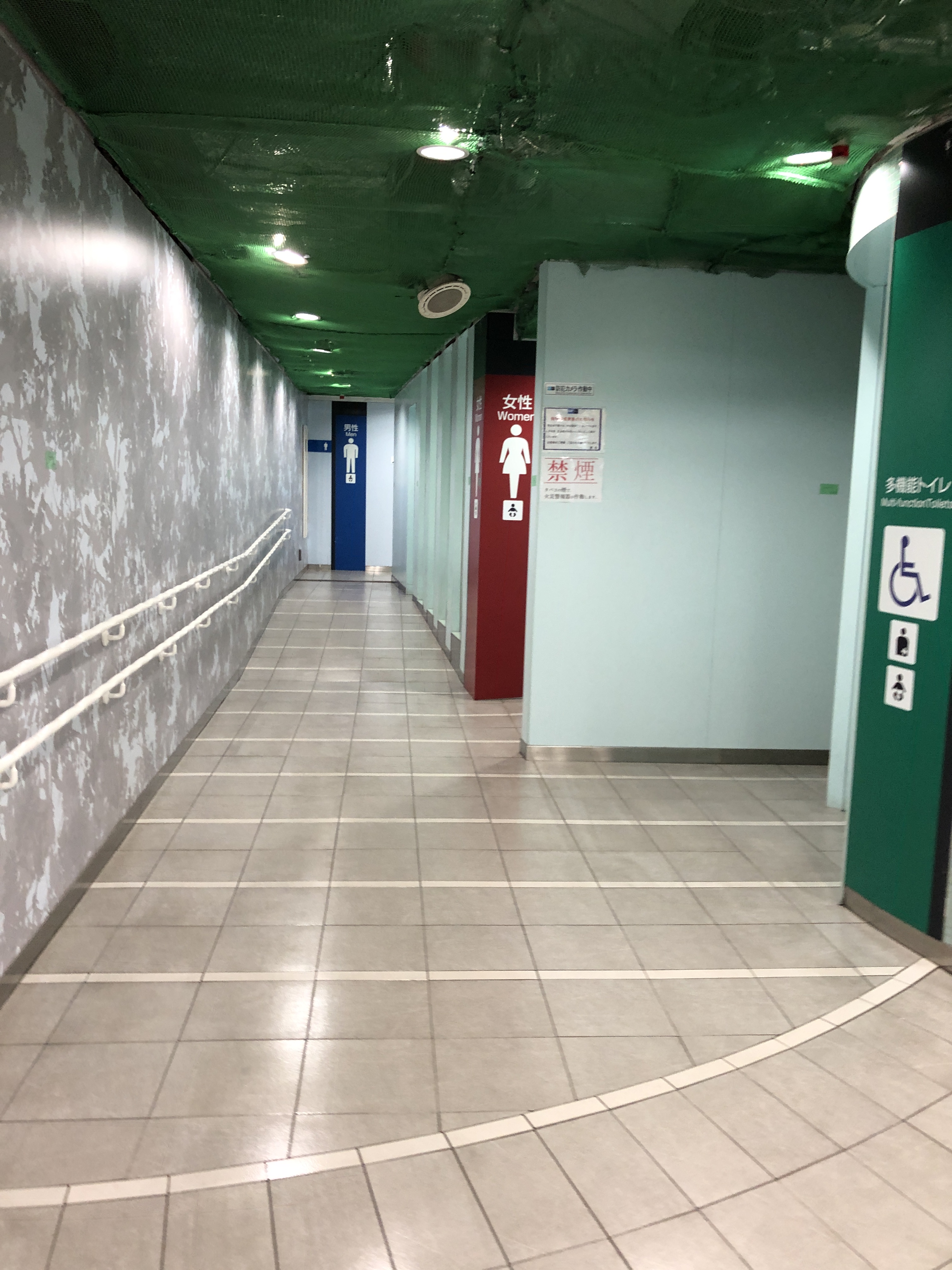 決定版 都内の駅トイレ制覇してみた 千代田線編 腹痛持ち待望 ぶらりトイレ途中下車の旅