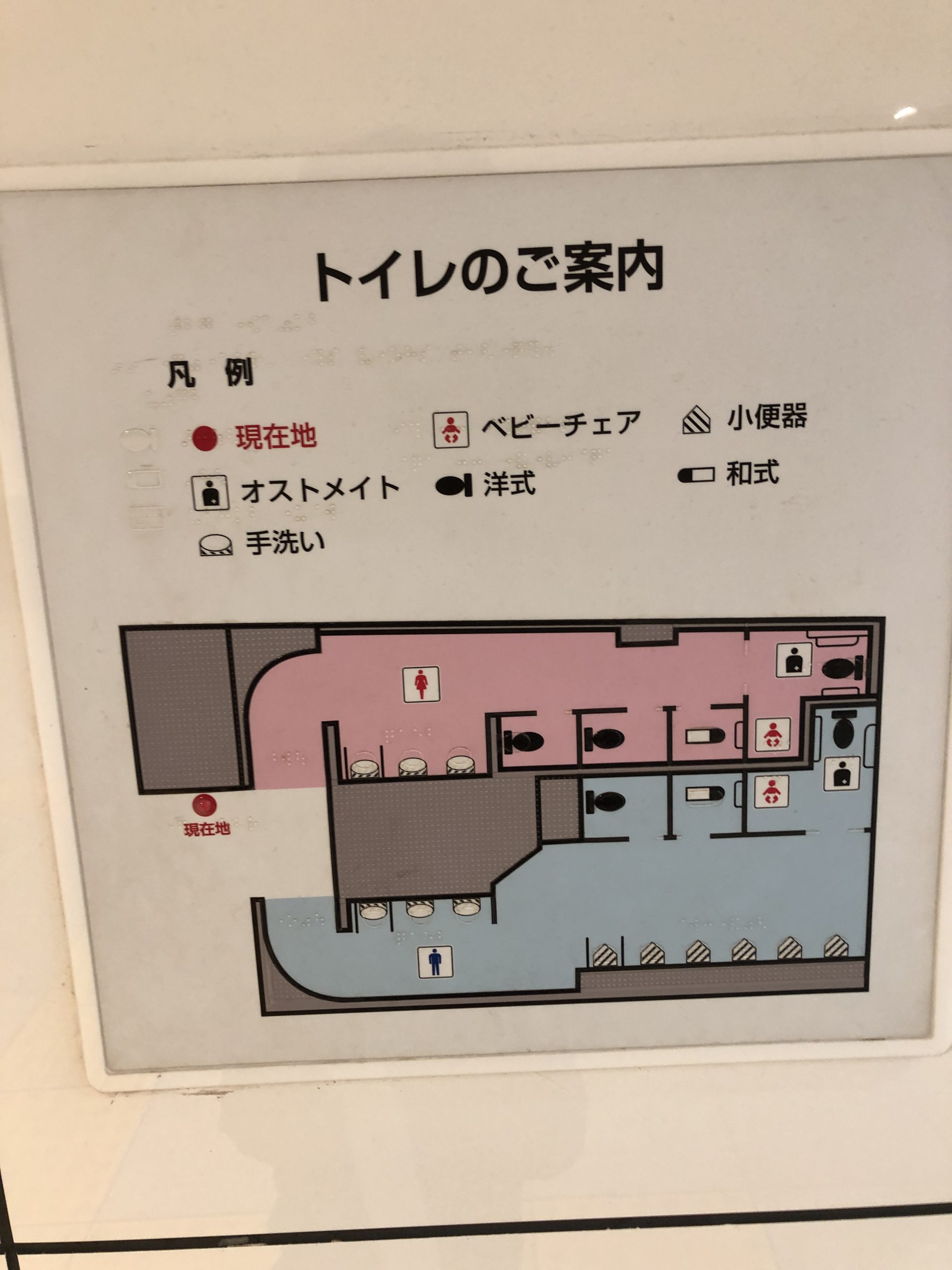 決定版 都内の駅トイレ制覇してみた 千代田線編 腹痛持ち待望 ぶらりトイレ途中下車の旅